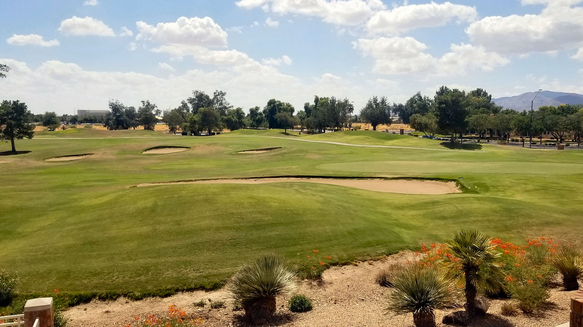 Photo of a beautiful golf course in Surprise, AZ