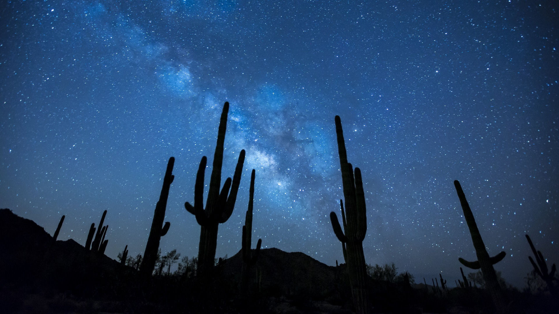 Photo of beautiful night sky, stars and tall cactus