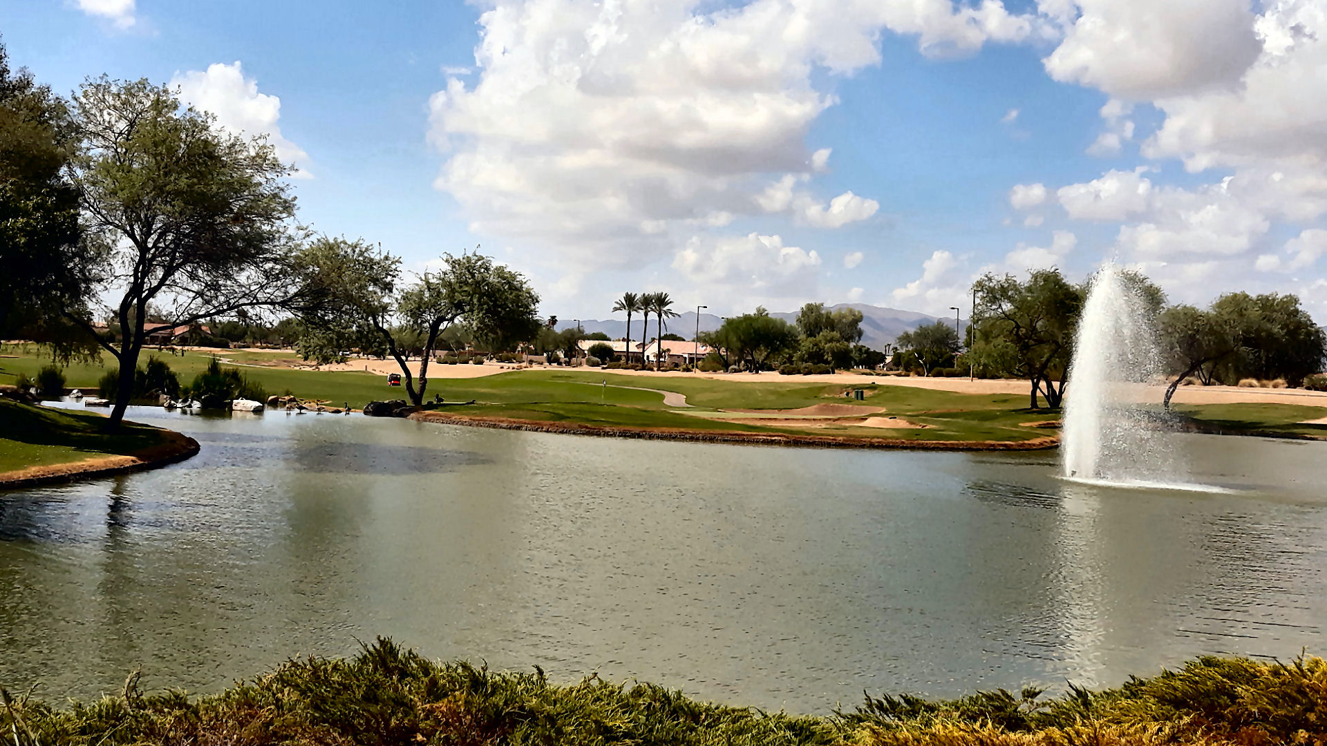 Photo of a golf course in Surprise AZ